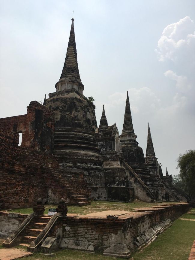 別な角度からパチリ