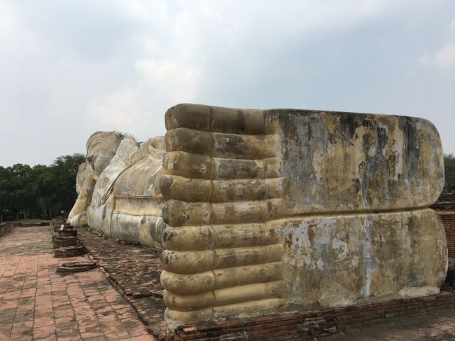 足裏からパチリ<br />