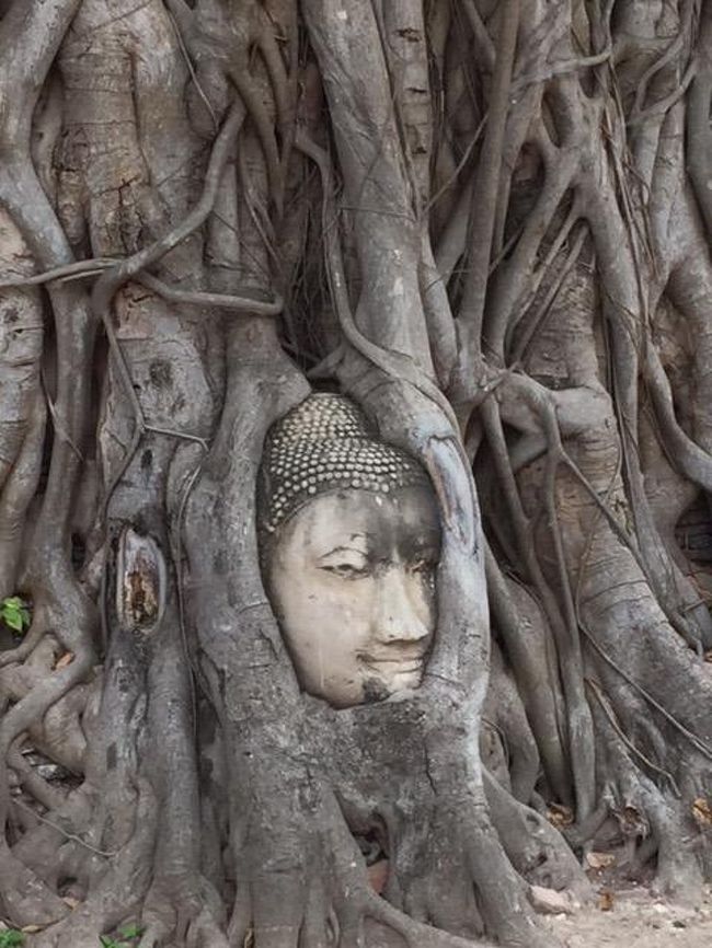 あー写真で良く見る仏像だ。<br />入場券を買った際に内部の地図を貰わずに入ってしまい、1番見たかった場所に来るまで遺跡内をだいぶ歩きまわってしまいました。<br />入って直ぐに右手に行けば良かったのですが、逆周りしてしまいました。<br />