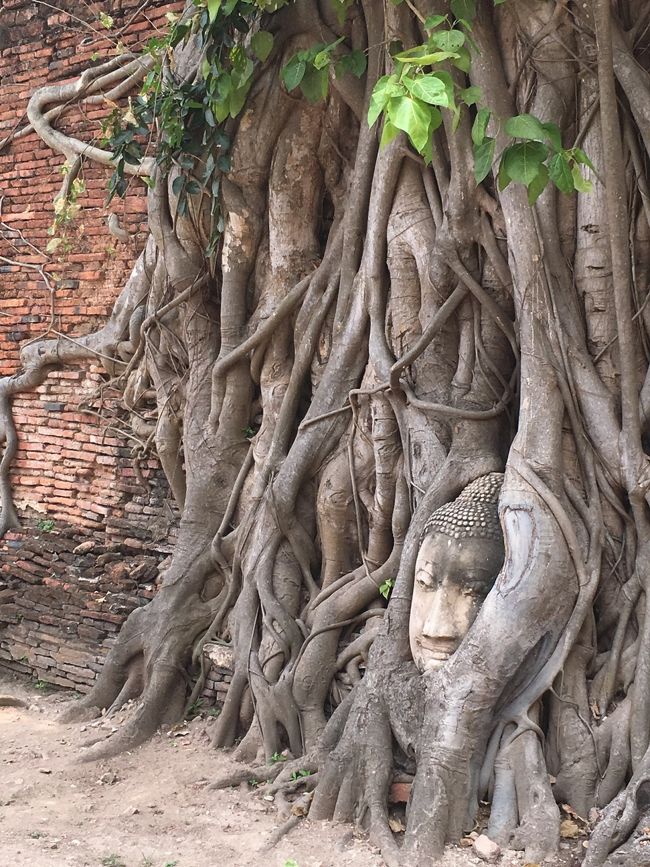 色々な角度から写真を撮り、自撮りだけでは満足出来ず 近くに居た観光者にも頼んで撮って貰いました。 自分の頭が仏像の下になるように撮るらしく、座れるようにスノコが置いてありました。