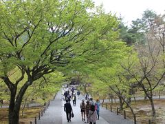 別荘が建ち並ぶ一角を過ぎ南禅寺へ。
南禅寺境内は桜の名所として知られるが、もうすっかり葉桜。