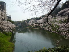 千鳥ヶ淵の桜

九段下駅から歩いて最初の見たお堀と桜の光景

先ず感動