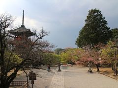 哲学の道を戻るような方向で、今度は真如堂を目指す。
ここは広い境内を持つ天台宗の寺院。
境内は自由に散策できる。桜の名所だが、ここも終わり。