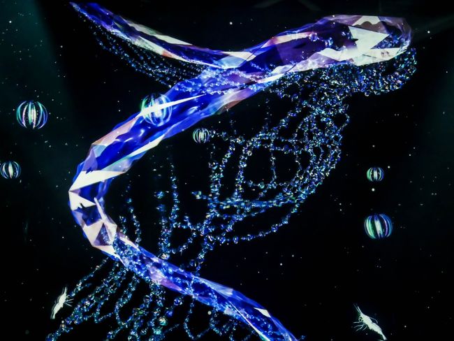 雨のナガシマリゾート(AQUARIUM BY NAKED&幻想的なイルミネーション)