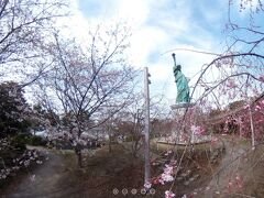 お台場・自由の女神像と桜