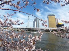 スカイツリーと隅田川の桜