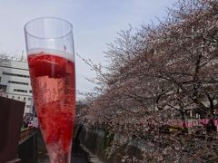 ４月２日は目黒川にやってきました。
苺ロゼを飲みながら川沿を歩きます。