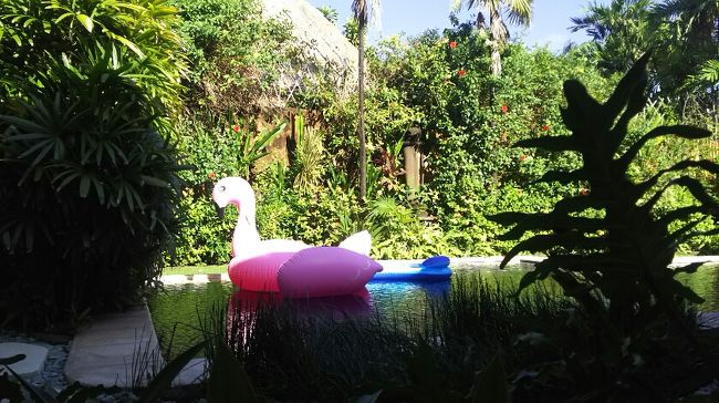 バリ島３日目の朝です。