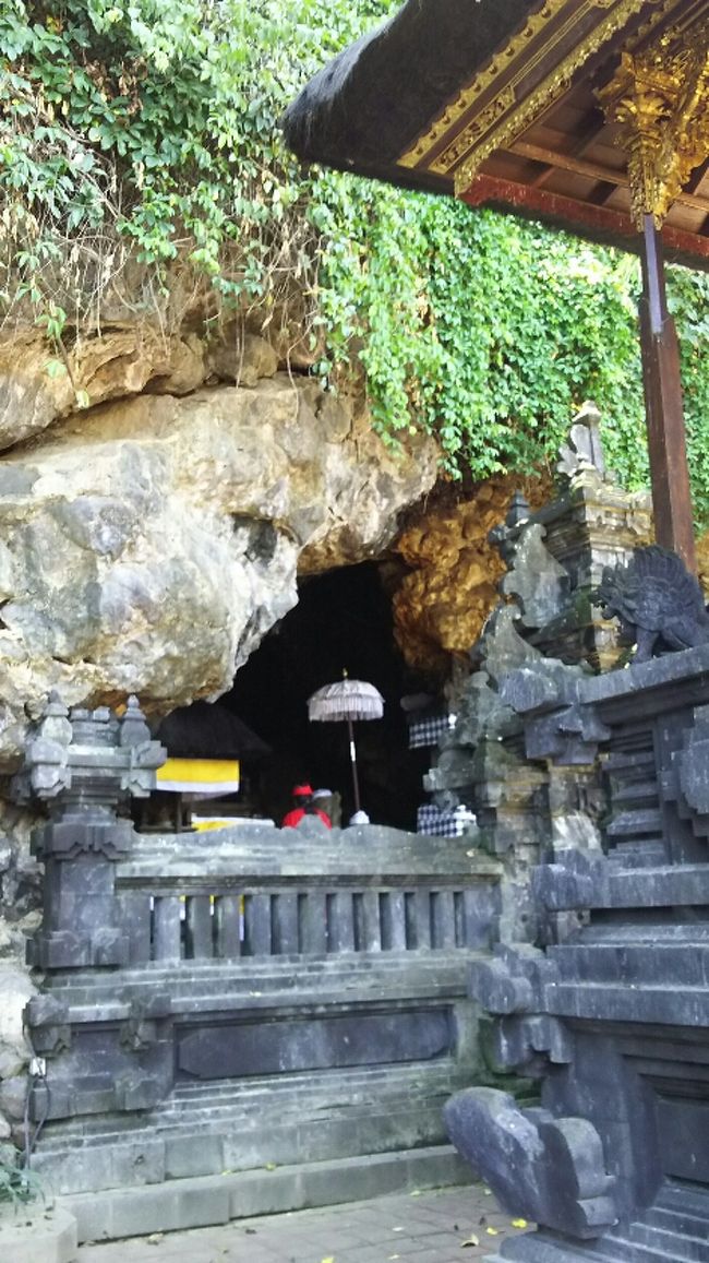 写真では分かりませんが、肉眼ではっきり見えるほど<br />こうもりが隙間なくびっしり。<br /><br />可愛かったですよ。<br />日本のこうもりより大きめで、色は褐色でした。