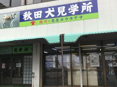 路線バスで田沢湖畔へ。

お土産屋さんの奥に秋田犬がいらっしゃいます。

協力金￥100を店員さんに渡します。