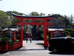 1319　枚聞神社，実はむこうに御神体の開聞岳が控える　以前に比べ木々が伸びたのか，開聞岳が目立たない