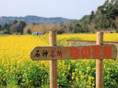 最後に養老渓谷駅近くの菜の花畑に寄りました。