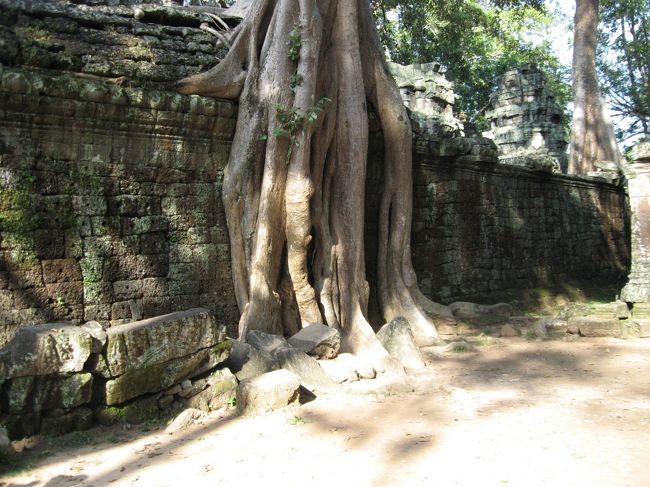 アンコールワット