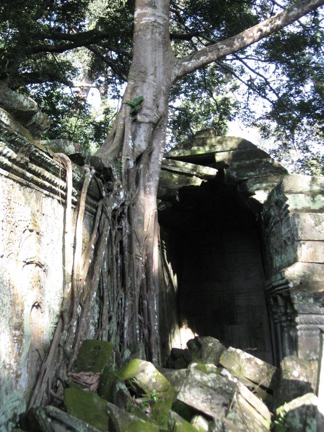 アンコールワット