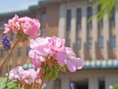 神奈川県庁本庁舎