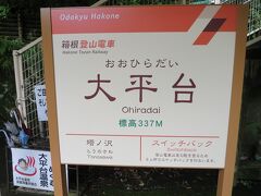 9:07　大平駅に着きました。（箱根湯本駅から15分）

ステファニーさまの嗅覚は鋭く直ぐに私たちを見つけてくれました。やはり…鉄臭がするのでしょうか？思わず自分の体を嗅いでみました。（笑）

ステファニーさまは、私がイメージしていた通りのお嬢様でした。お互いに自己紹介をして旅話で盛り上がりました。

ステファニーさまは、早朝に小田原駅経由の夜行バスで到着し湯元温泉で移動の疲れを癒したそうです。恐るべしスーパー鉄子のタフさ！