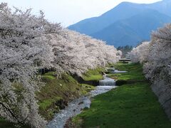 安曇野、黒沢川の桜堤