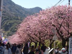 河津駅で下車し、川沿いの遊歩道へ。