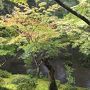 京都のんびり1泊2日*苔寺*嵐山*1人旅