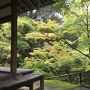 京都のんびり1泊2日*苔寺*嵐山*1人旅