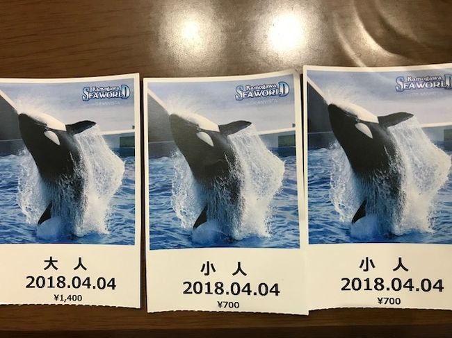 久しぶりの鴨川シーワールド 鴨川 千葉県 の旅行記 ブログ By Tomoko Sさん フォートラベル