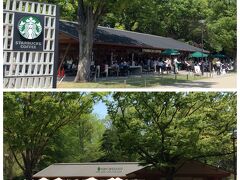 木々に囲まれ緑豊かな環境にある素敵スタバ、その向かいにも似たような造りのカフェ。