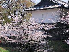 お昼を過ぎ、ますます人が増えてきた田安門付近。
でも、桜とのコラボ風景を見ると癒されます。