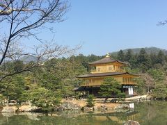 金閣寺は緑が綺麗でしたが、お花は咲いてません。