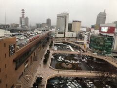 パルコの中華料理でご飯を食べました。
量はものすごく多かったです。