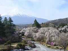 富士山バッチリ♪