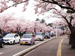 高田城へ向かう道は普通の日(金曜日）なのに、大渋滞です。