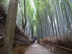 JR嵯峨嵐山駅までの道中，天龍寺北側の竹林の道．
通ったのは9時過ぎ観光客は少なめ．
10時過ぎると人で溢れる場所．