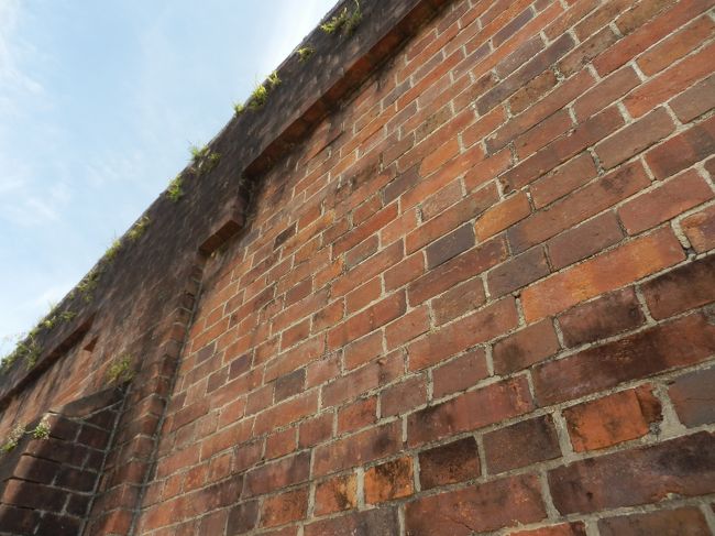 列が塀に差し掛かる．<br />敷地北塀になるので日陰かと思いきや，7月で太陽の位置が高く日陰が無い．<br />熱中症になりそうだった．<br />家族連れの人は誰かが買い出しに行けるが，1人はそうも行かない．<br />早く入りたい．