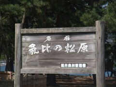 静岡には三保の松原、沼津の千本松原があります。