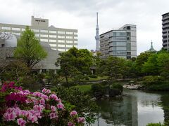 隣には旧安田庭園、笠間藩の本庄因幡守宗資が築造。小さいけれど回遊式庭園で無料で入れるのがいい。
今年はつつじも早くて、もう８割方咲いている。
根津神社のつつじ祭りも既に始まっていて、例年GWが見ごろなのにそれまで持つのかしら・・・