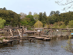 清水公園といえば。
ポニー牧場や巨大迷路もありますが、なんといってもアスレチックコース。
水上コースは見ているだけでも楽しいです。