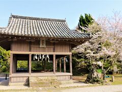 【平戸城】二の丸　（亀岡神社）　　神楽殿

亀岡神社の本殿・回廊の手前にあって、
参道に西面して建ってます。

この神社は、平戸神楽を奉納しているそうで、神社の中でも大事な建物