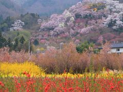 13：40　花見山公園

福島の桃源郷と呼ばれる個人所有の公園に2000本の桜。

花見山環境整備協力金　500円
※臨時駐車場からシャトルバス有り