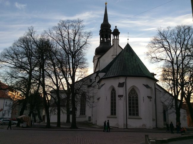 小高い丘になっているのは支配者や貴族たちの居住していた山の手のトームペア。トームペアの丘の大聖堂<br />