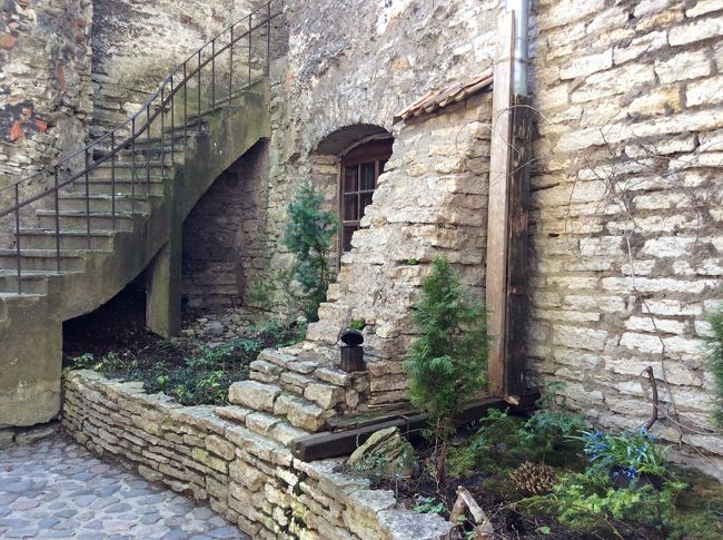 ドミニコ修道院の庭を探してウロウロ。<br />ここかな？中世の趣がある。地下への入り口があって中はギャラリーになって<br />た。