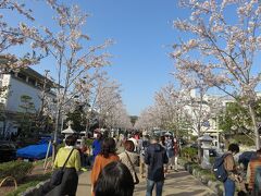 鎌倉では、1時間半くらいしか時間がなかったので、段葛をのんびり散策。