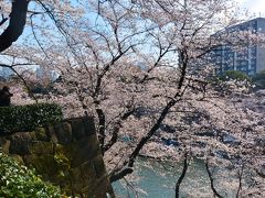 湖面にピンクの桜が咲き誇り
何処を見ても素晴らしい桜並木が
続きます
