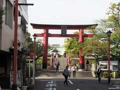 亀戸天神社の鳥居

地下鉄半蔵門線の錦糸町駅から歩きました。