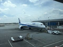 mさんと私の乗るANA機です