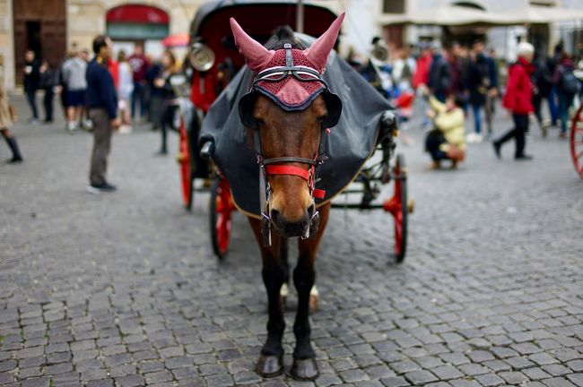 馬に睨まれつつ、トレビの泉へ。