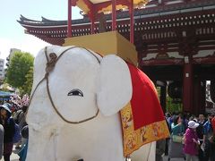 浅草寺 花祭り