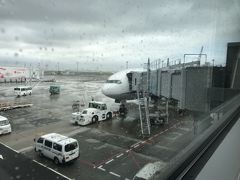 福井県の小浜に行くのには、経済合理主義でなら新幹線とJR在来線で行くのが王道ですが、個人的趣味と寄り道したいところがあるので今回は伊丹空港まで飛行機でそこからレンタカー。

まずは羽田から伊丹まで。
悪天候が予想され、実際強い雨に強風な嵐の様相となりましたが、フライトには影響ない模様。