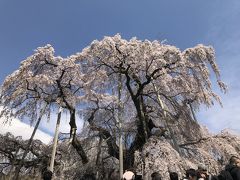 近くに寄って見上げると、かなりの迫力。
