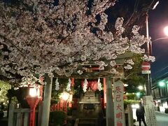 腹ごなしの夜桜見物
辰巳大明神