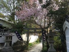 苑内の宗像神社